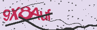 Codice captcha