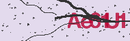 Codice captcha