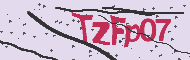 Codice captcha