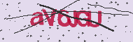 Codice captcha