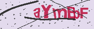 Codice captcha