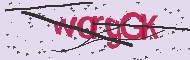 Codice captcha