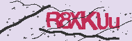 Codice captcha